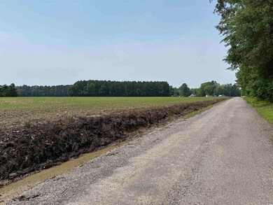 View of road with a rural view and a view of trees