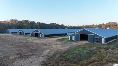 1034 Mccrary Rd, Downsville, LA 71234 - photo 7