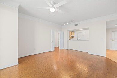 345 Bayshore Blvd unit 805, Tampa, FL 33606 - photo 7