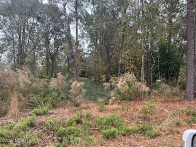 butto bush 1