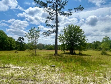 4417 Veterans Memorial Dr, Tallahassee, FL 32309 - photo 4