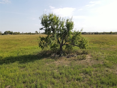 14.7 +/- AC Addie Gee Rd, Hempstead, TX 77445 - photo 3