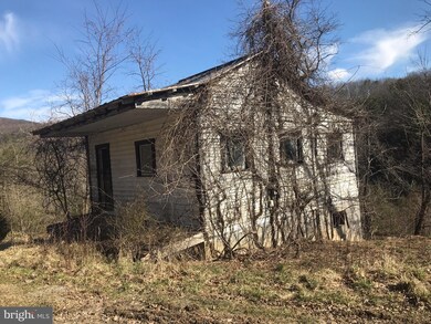 1082 Lower North Fork Rd, Seneca Rocks, WV 26884 - photo 6