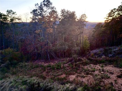 Nature at dusk with a forest view