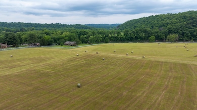 Tract 5 Steadmantown Ln, Frankfort, KY 40601 - photo 6