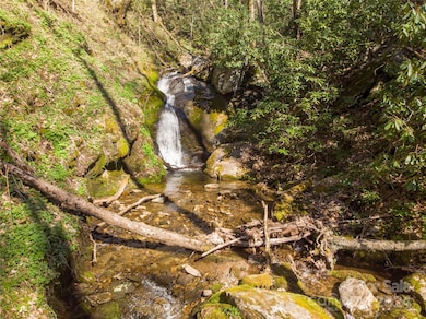 00 Buff Creek Rd, Sylva, NC 28779 - photo 4