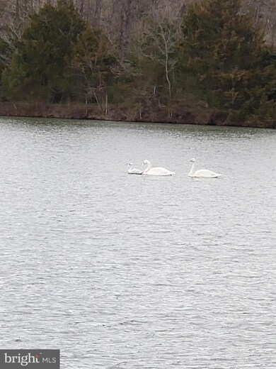 315 River Lakes Dr, Strasburg, VA 22657 - photo 6