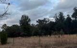 0 SW McGriff Ln, Lake City, FL 32024 - photo 5
