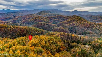 DJI_20241106160454_0039_D-HDR (2)
