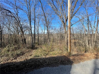 1 Winsford Ln, Bella Vista, AR 72714 - photo 5