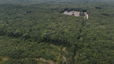 0 Critter Trail unit Parcel C, Filer Charter Township, MI 49660 - photo 3