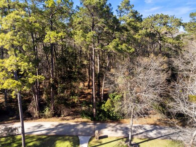 19326 Chateau Ridge Ct, Tomball, TX 77377 - photo 3