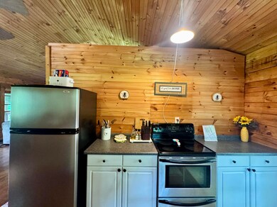 264 Persinger Rd unit 264, Canvas, WV 26662 - photo 6