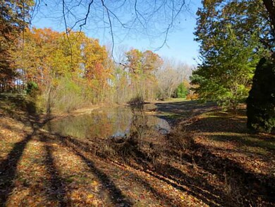 Beautiful trees and pond.