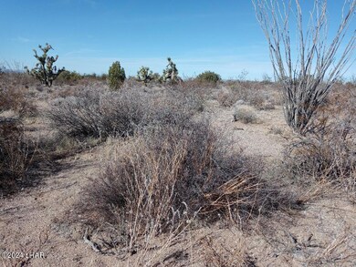 Parcel 439 S Tom Mix Rd, Yucca, AZ 86438 - photo 5