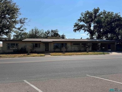 1009 E Riverside Dr, Carlsbad, NM 88220 - photo 2