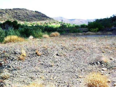 39562 lot 4 looking north