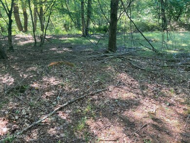 Lot 176 Tink Wig Dr, Lackawaxen Township, PA 18428 - photo 3