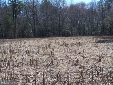 Lot A Shingle Point Rd, Georgetown, DE 19947 - photo 2