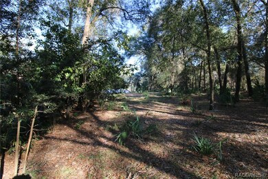 3123 S Graymor Path, Inverness, FL 34450 - photo 5