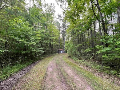 Lots 19 & 20 E Pinecrest Dr unit 24, Secord Township, MI 48624 - photo 4