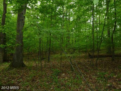 0 Mount Gilead Rd unit 1003991050, Leesburg, VA 20175 - photo 2