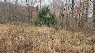 0 Shire Dr, Dubois, IN 47527 - photo 6