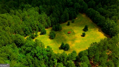 1230 Agricola Rd, Mitchell, GA 30820 - photo 5