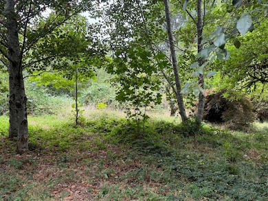 82550 Vine Maple Dr, Seaside, OR 97138 - photo 6