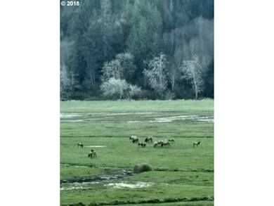 6781 N Fork Siuslaw Rd, Florence, OR 97439 - photo 3