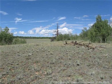 163 Mannlicher Rd, Como, CO 80432 - photo 6