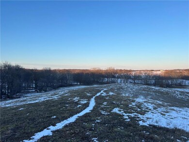 0 Albany Rd, Orrick, MO 64077 - photo 4