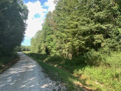 0 Lonesome Dove unit 20220657, Elberton, GA 30635 - photo 6