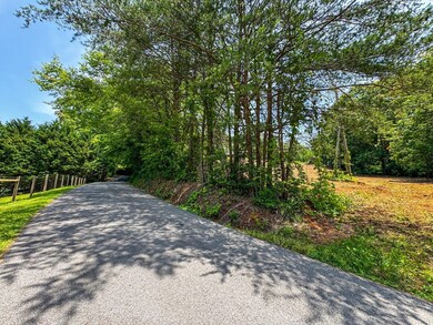 0 Island Cove Rd unit 23824831, Rocky Top, TN 37769 - photo 2