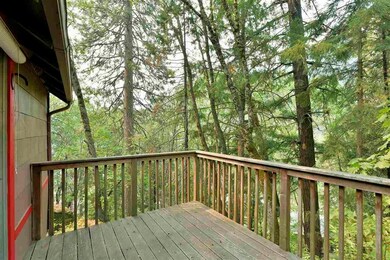 4633 Shasta View Ave, Dunsmuir, CA 96025 - photo 6