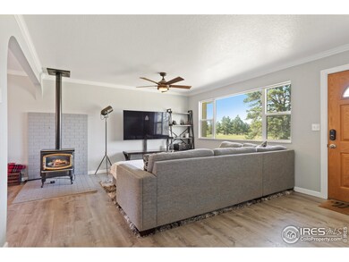 18315 Steeplechase Dr, Peyton, CO 80831 - photo 3