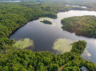 Off Pomeroy Lake Rd unit Lot 27, North of Presque Isle, MI 49947 - photo 3