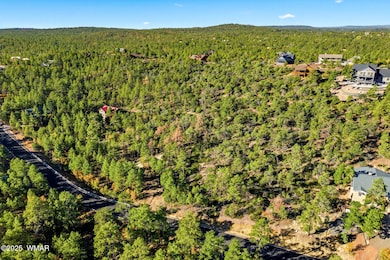 1920SPleasantviewDr-ShowLowAZ-7