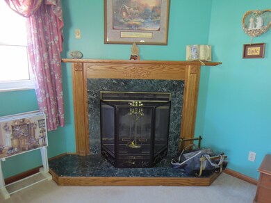 Wood burning fireplace