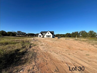 320 Jonny Boy Way, Springtown, TX 76082 - photo 4