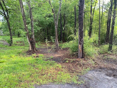 56548 Nassau Oaks Dr, Callahan, FL 32011 - photo 5