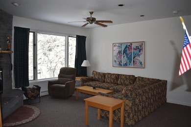 9 Trailside Executive 9 unit 9, Cambridge, VT 05464 - photo 6