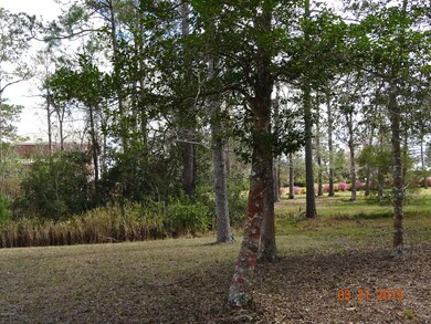 DSC00592