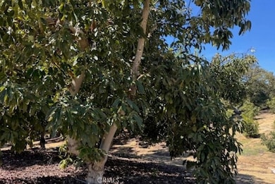 1 Monte Rancho Dr, Temecula, CA 92590 - photo 2