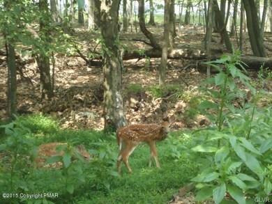 1156 Kensington Dr, East Stroudsburg, PA 18301 - photo 4