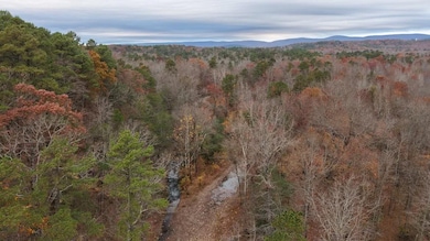 Hallelujah Ln, Mena, AR 71953 - photo 7