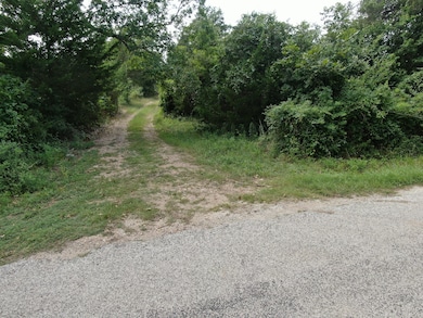 1641 Star Hill Rd, New Ulm, TX 78950 - photo 3