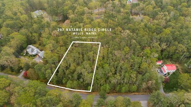 297 Natanis Ridge Rd, Wells