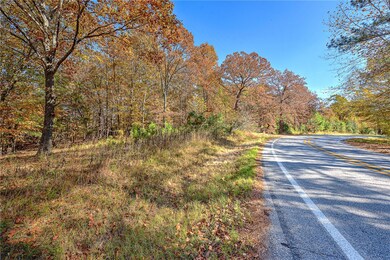 0 Hwy 94 Dr unit 1233157, Rogers, AR 72756 - photo 6