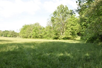 0 A T Dean Rd unit Tract 1, Harrodsburg, KY 40330 - photo 5
